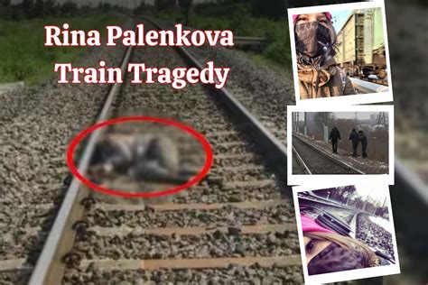 , --- never gonna give you up. . Rina palenkova train